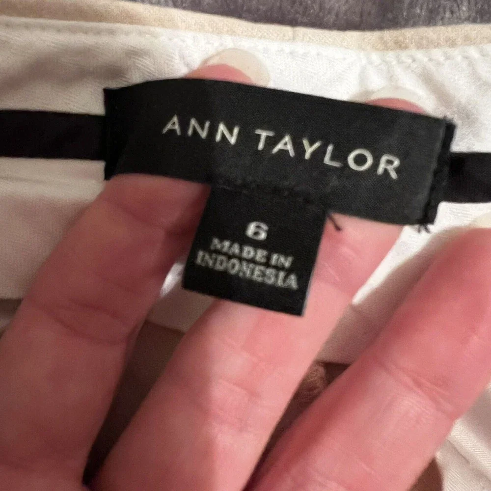 Ann Taylor Devin Beige Tan Work Pants Trousers Flat Front Pockets Size 6 Career - Picture 8 of 13